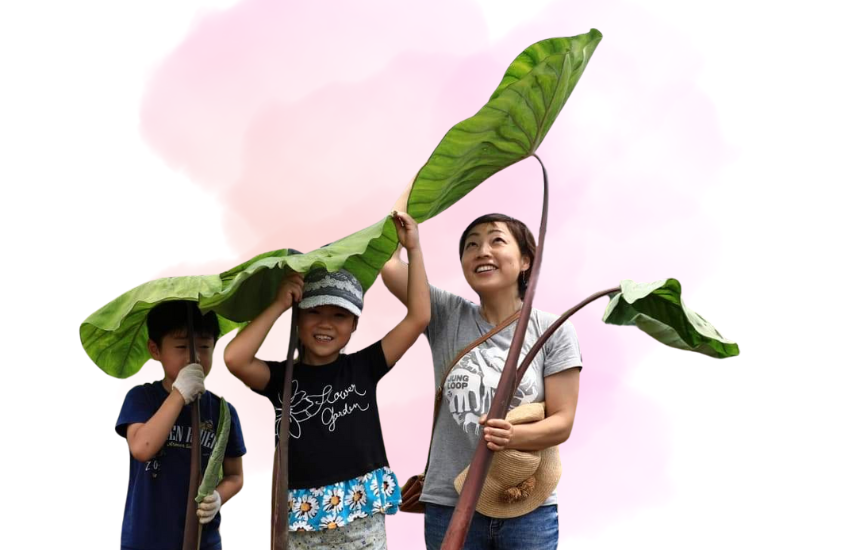 むっく（成瀬 優子）